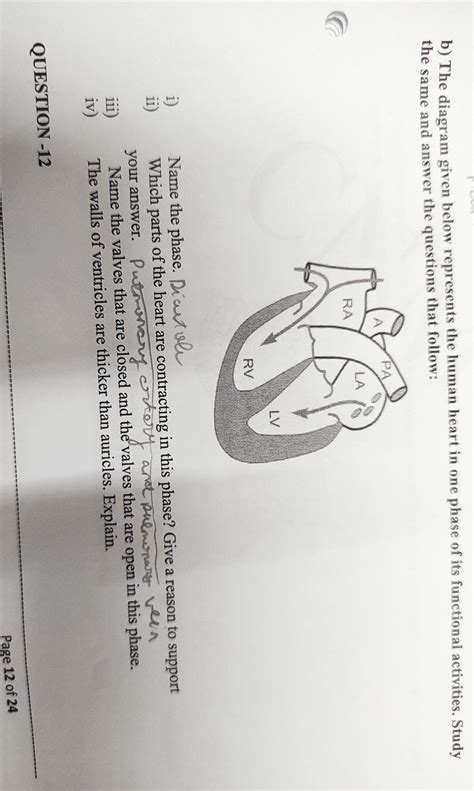 b) The diagram given below represents the human heart in one phase of ...