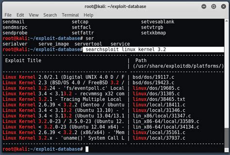 Image result for Kali Linux Exploit