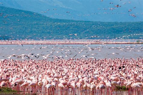 IN THE PICTURE NATUUR - Flying Dutchman Magazine