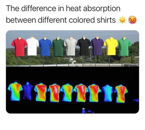 Best Colors to Wear in the Indian Summer: Style That Keeps You Cool ...