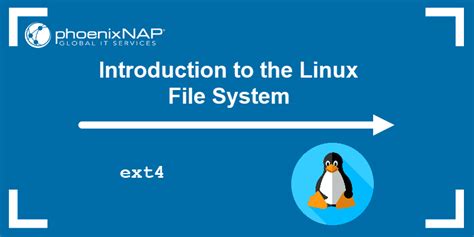 What Is Linux File 的图像结果