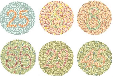 色盲测试：4张色盲图，若3个都看不出，说明你是色盲_数字