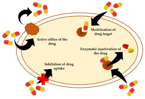 Bacterial Skin Infections in Livestock and Plant-Based Alternatives to ...