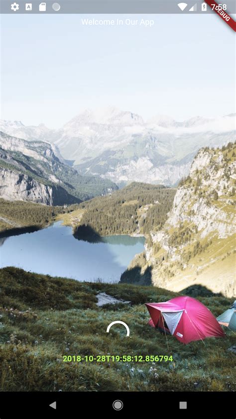 Image result for Flutter Loading Screen