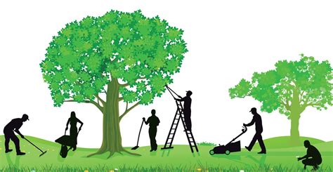 ¿Por qué contratar a un profesional para el mantenimiento de tu jardín ...