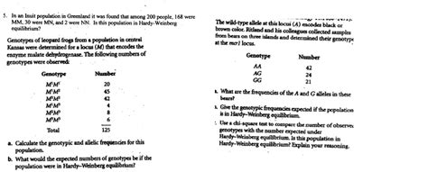 Image result for Observed Genotype Frequency Formula