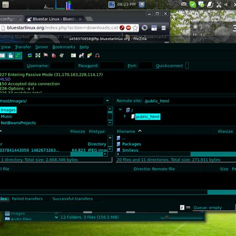 BlueStacks Linux 的图像结果