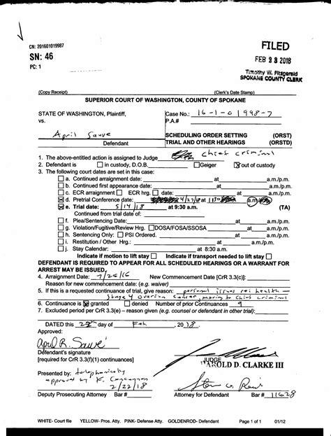 Spokane County Court Viewer