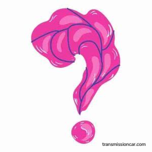 Image result for Decode Chevy Transmission Numbers