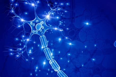 Multiple System Atrophy 的图像结果