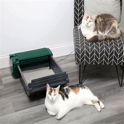 Biggest Self Cleaning Litter Box at Terry Stephen blog