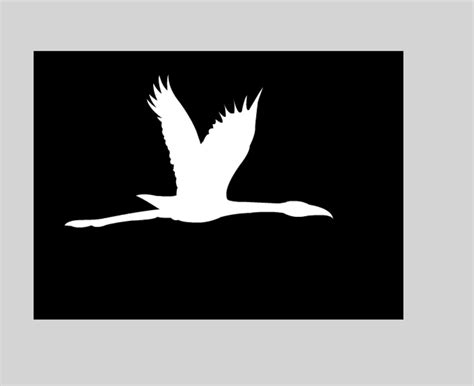 飞翔的小鸟 素材图片免费下载-千库网