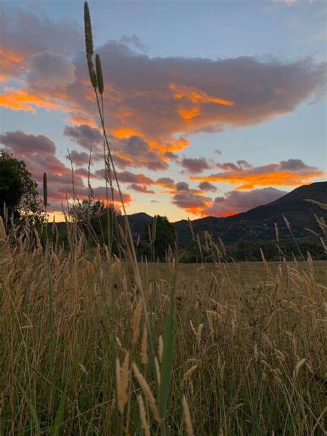 VILA DISHA (Tirana) - Hotel Reviews, Photos, Rate Comparison - Tripadvisor