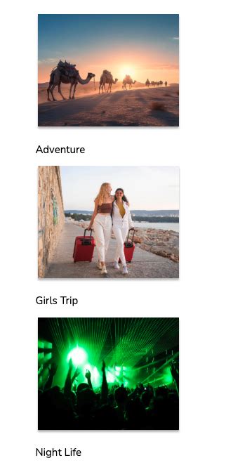 Image result for Image Grid HTML CSS JavaScript
