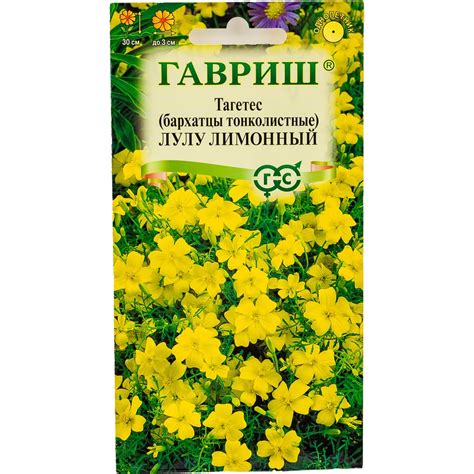 Бархатцы ГАВРИШ тонколист. Лулу лимонный Тагетес 0.05 г 005592 ...