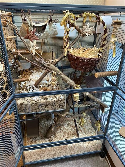 Pin by nutriarat.atelier on pet stuff | Pet rat cages, Pet rats, Rat ...