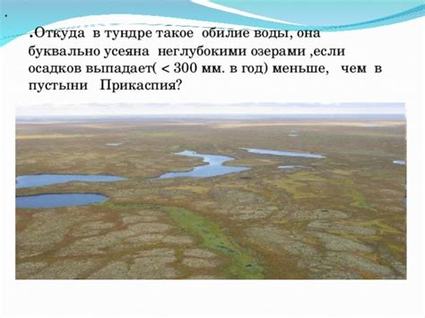 Презентация к уроку географии 8класс Арктические пустыни, тундра