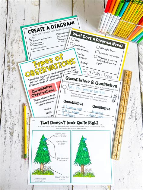 3rd Grade Science Lessons 的图像结果