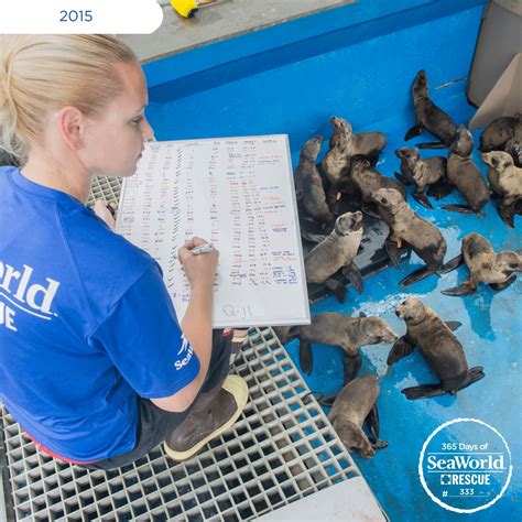 6 facts about becoming an aquatic veterinarian – Artofit