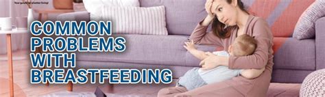 Triphala Churna - Cureka