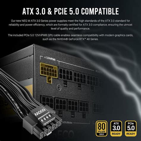 Buy ANTEC NE1000G 1000W 80+ Gold Fully Modular ATX 3.0 Power Supply ...