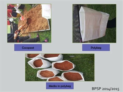 Image result for Fertigation System Diagram