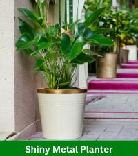 ecofynd 2 Pack Eva Metal Plant Pots (8 inch, 9 inch) | Indoor Planter ...