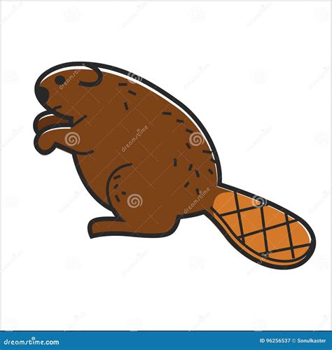 Canadian Beaver Vector Isolated Canada Traditional Animal Symbol Stock ...