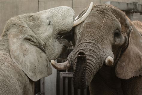 Og+Mudbone+Meme+Picture Photos, Download The BEST Free Og+Mudbone+Meme ...