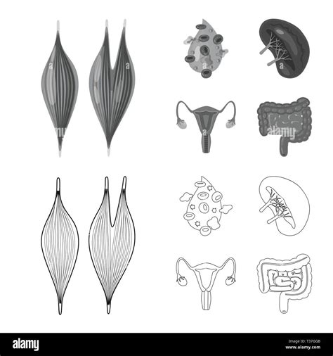 Biology Logo 的图像结果