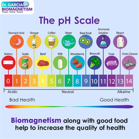 How to Achieve Optimal PH Balance for Optimal Wellness? | by Charlliejackren | Aug, 2024 | Medium