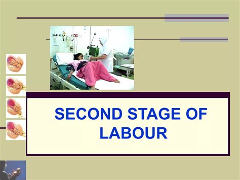 Image result for Normal Labour Duration