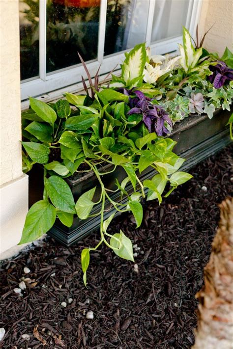 Image result for Homemade Window Box