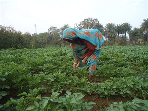 Help Environment in Local Communities 的图像结果