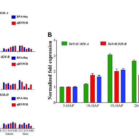Image result for Cell Stage Gene Expression