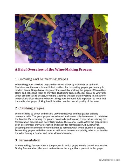 Wine Making Process 的图像结果