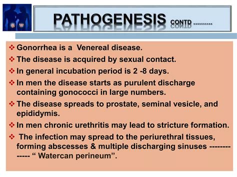 Neisseria gonorrhoeae lecture iii term | PPTX