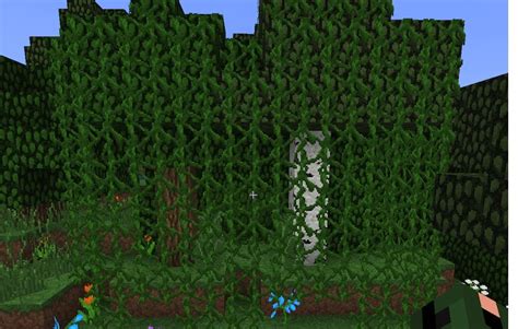 Image result for Clean Forest Command Minecraft Java