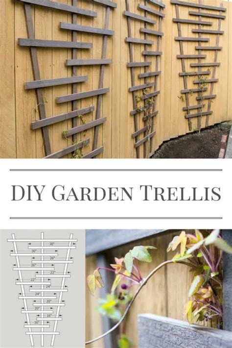 Image result for How to Build a Trellis