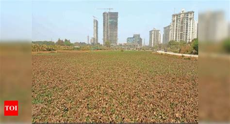 MCG to demarcate Badshapur drain, move to help avert Gurujam rerun ...