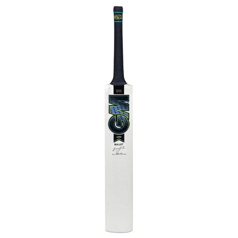 GM Aion Bullet English Willow Cricket Bat – Sportswing.in