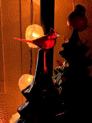 Image result for +Animated Cardinal Tree Topper Videp