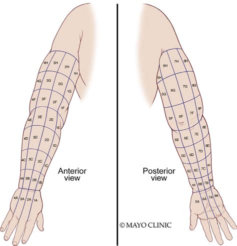 Image result for Alphanumeric Grid