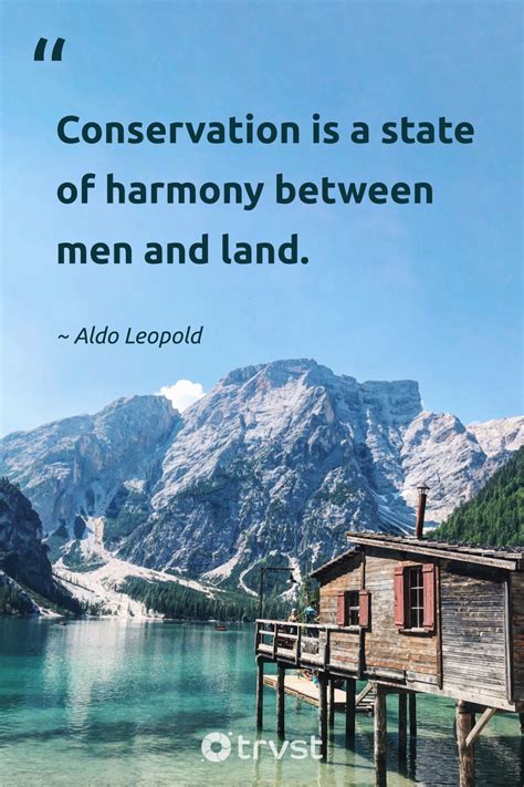 Quotes About Environment 的图像结果