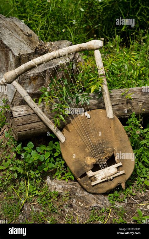 Image result for String Instruments From Kenya