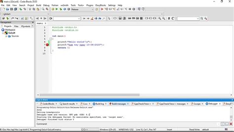 Debug in Code Blocks 的图像结果