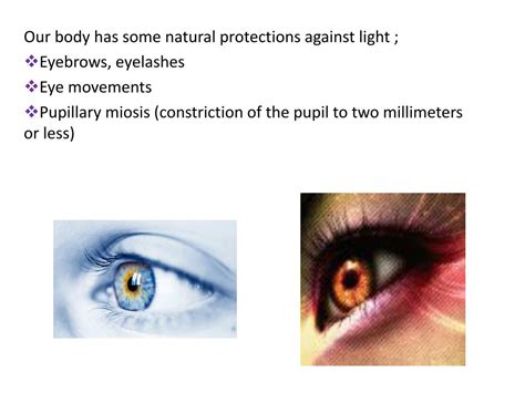 Light 的图像结果