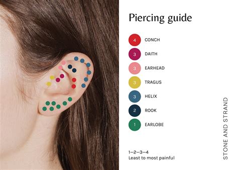 Piercings Y'all in 2020 | Ear piercings chart, Different ear piercings ...