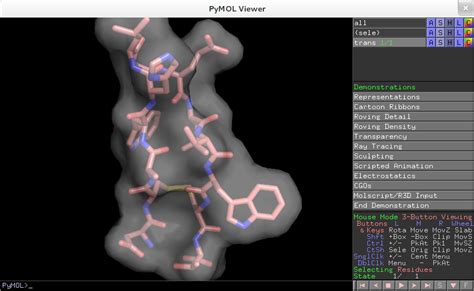 Image result for PyMOL Demo