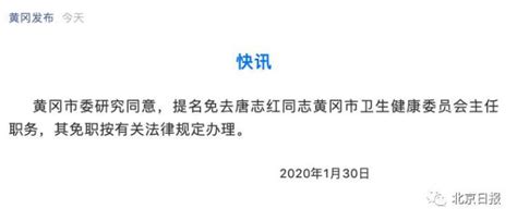 刚刚，一问三不知的“黄冈唐主任”被提名免职！_澎湃号·媒体_澎湃新闻-The Paper